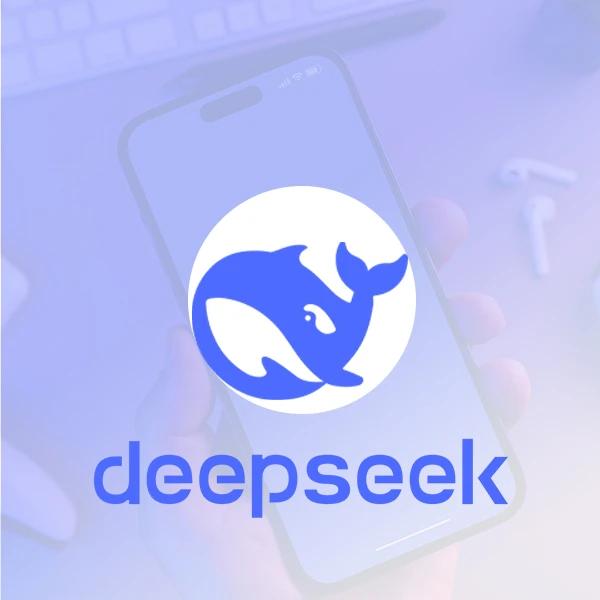 شارژ پنل DEEPSEEK Api