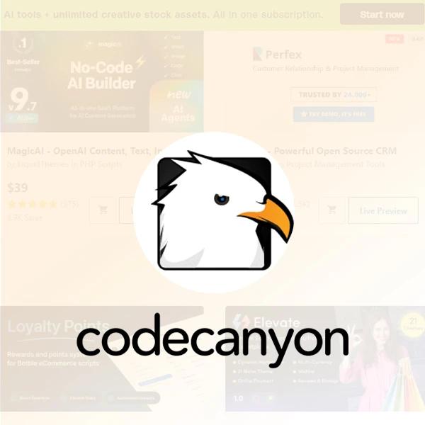 خرید از codecanyon